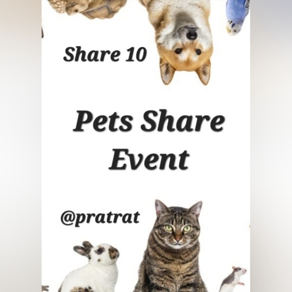 Sign Up Sat 8/29🐈Pet Share Event🐈Share 10🐈